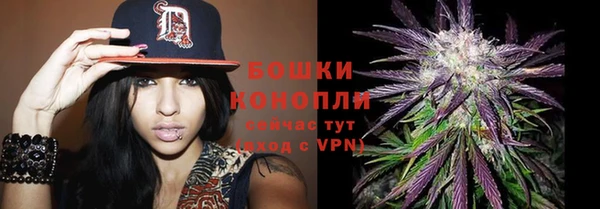 гашик Аркадак
