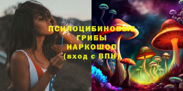 гашик Аркадак
