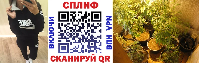 Бошки Шишки сатива  цена   Барыш 